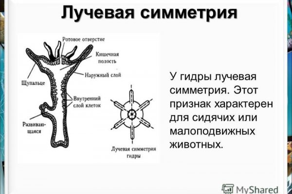 Как регистрироваться и заходить на кракен даркнет